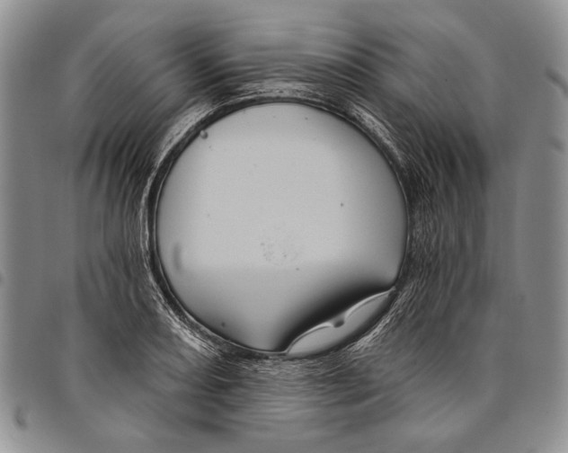 X0000097971082200804141046