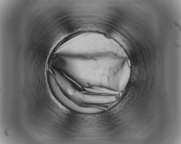 X0000097971084200804141046