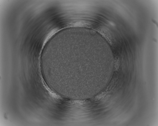 X0000097971086200804141046