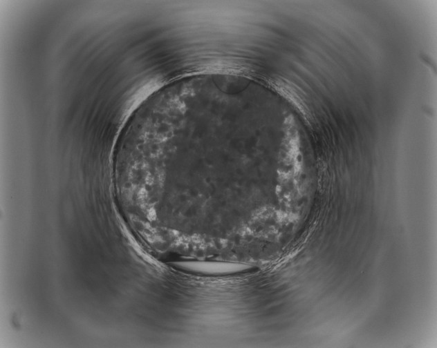 X0000097971087200804141046