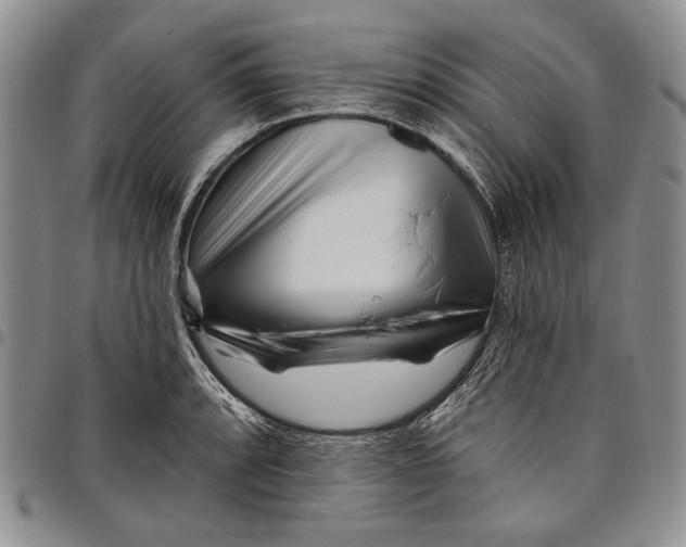 X0000097971088200804141046
