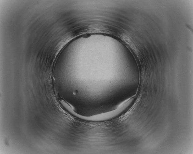 X0000097971089200804141046