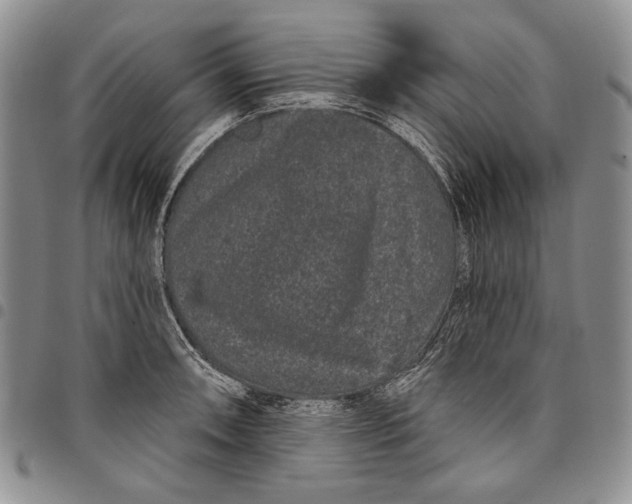 X0000097971090200804141046