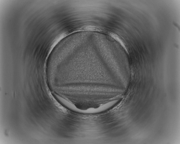 X0000097971091200804141046