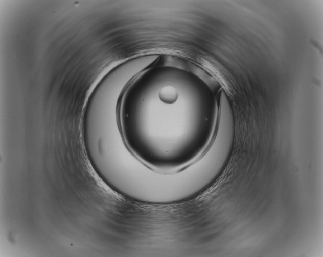 X0000097971092200804141046