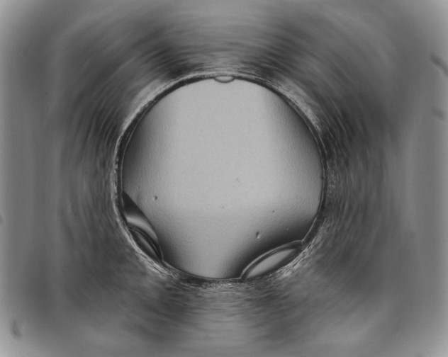 X0000097971093200804141046