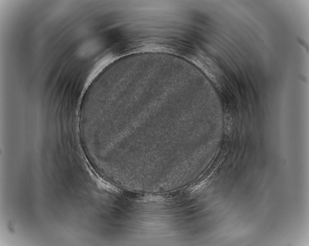 X0000097971094200804141046