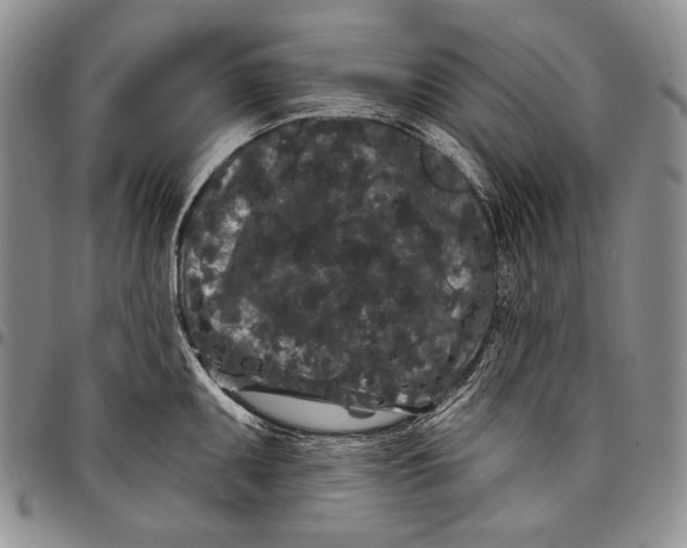 X0000097971095200804141046