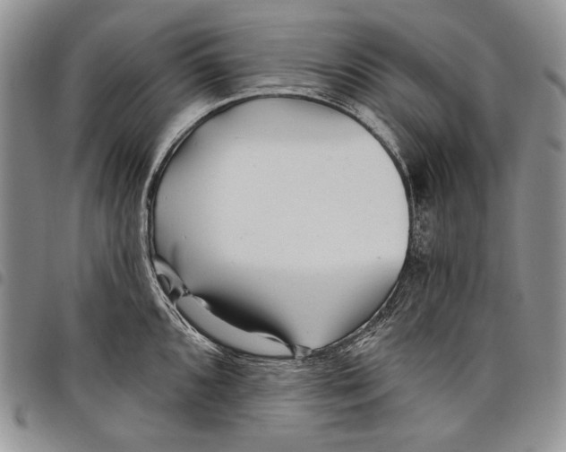 X0000097971096200804141046