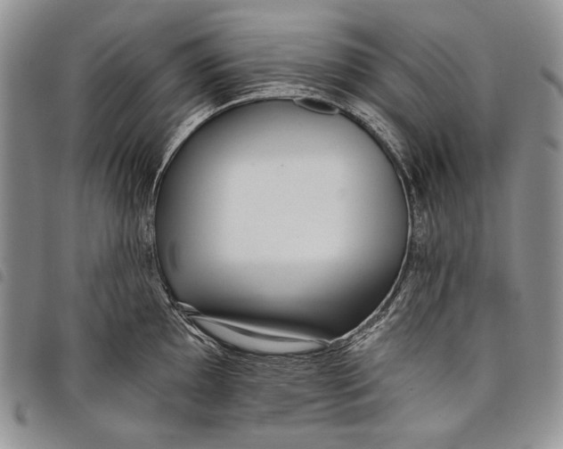 X0000097971097200804141046