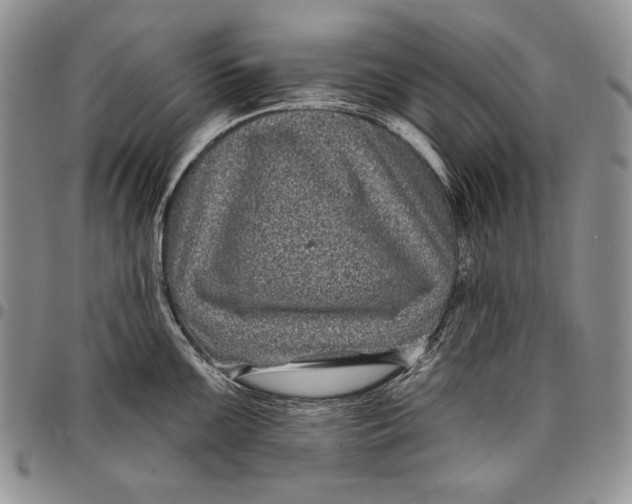 X0000097971099200804141046
