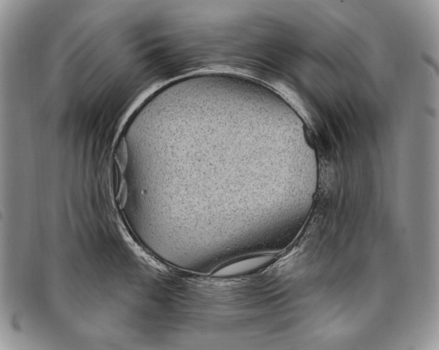 X0000097971100200804141045