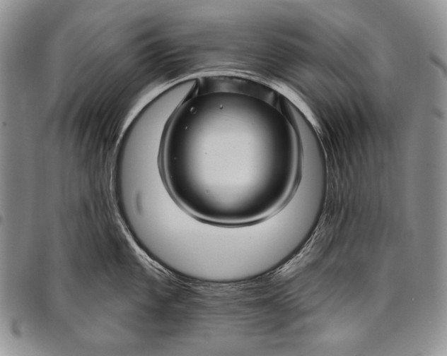 X0000097971101200804141045