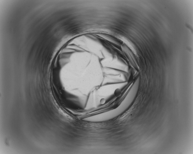 X0000097971102200804141045
