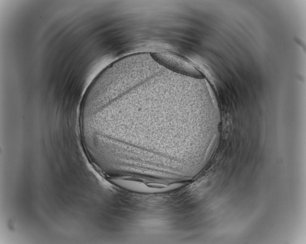 X0000097971103200804141045