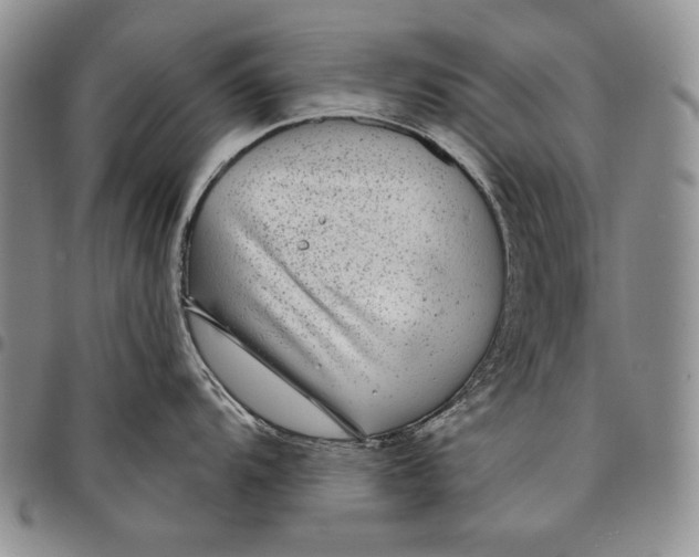 X0000097971104200804141045