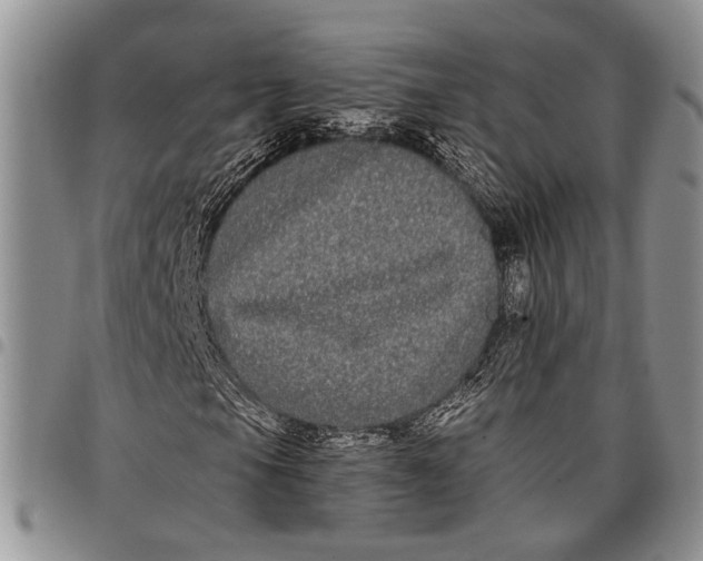 X0000097971105200804141045
