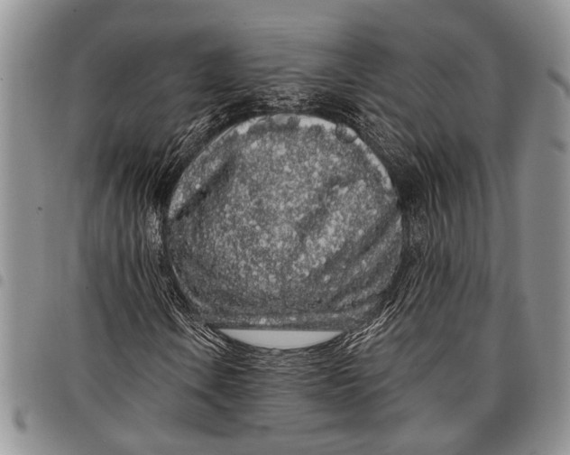 X0000097971106200804141045