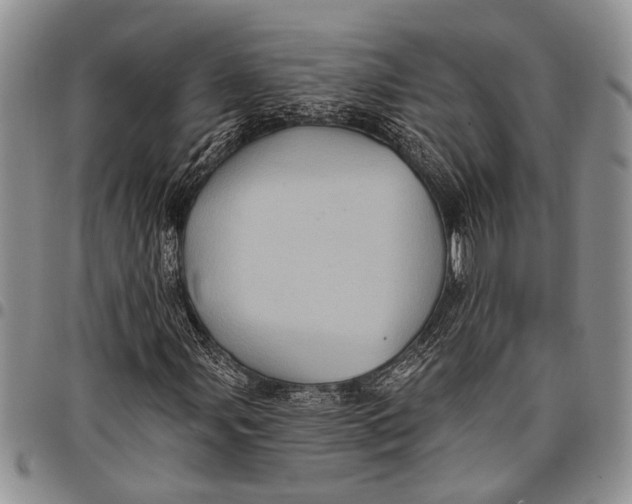 X0000097971107200804141045