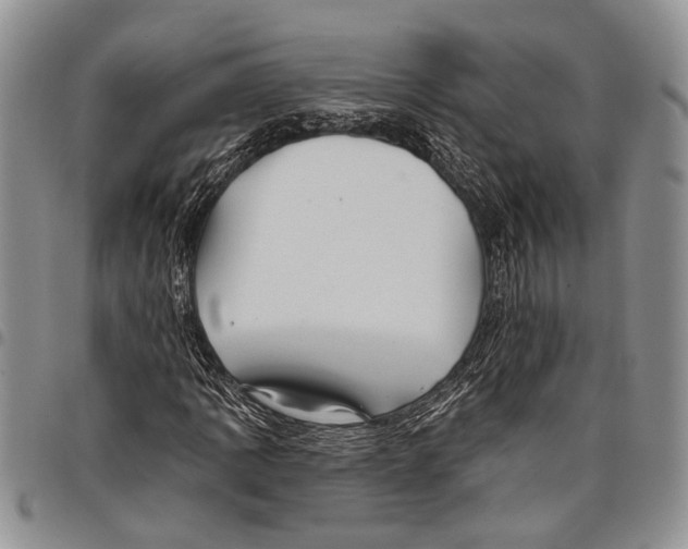 X0000097971109200804141045