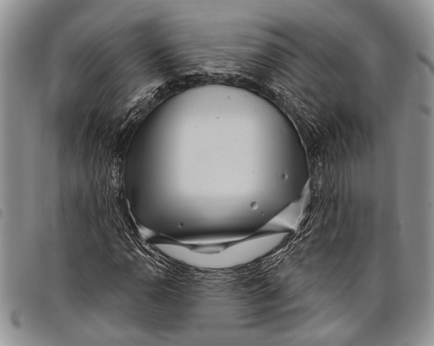 X0000097971110200804141045