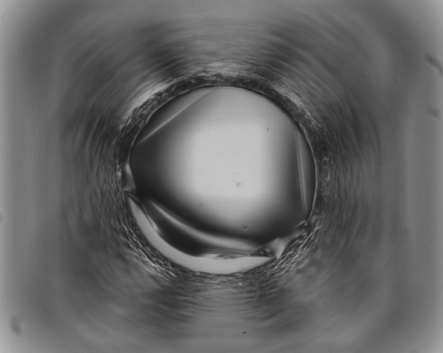 X0000097971112200804141045