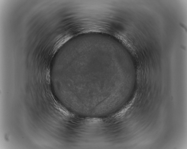 X0000097971113200804141045