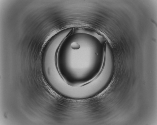 X0000097971114200804141045