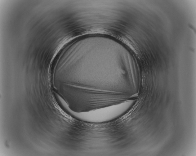 X0000097971116200804141045