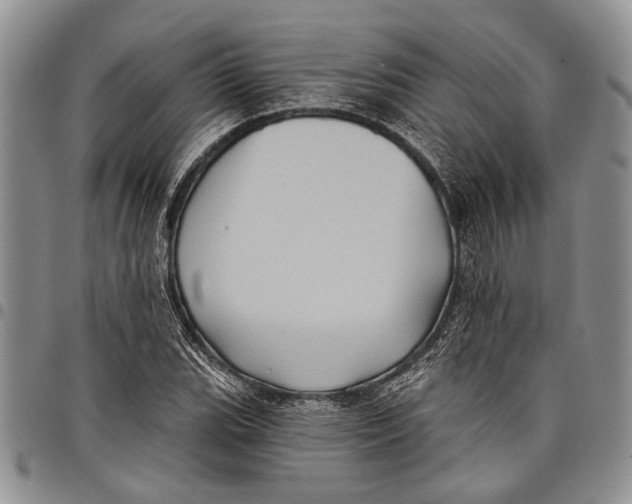 X0000097971119200804141045