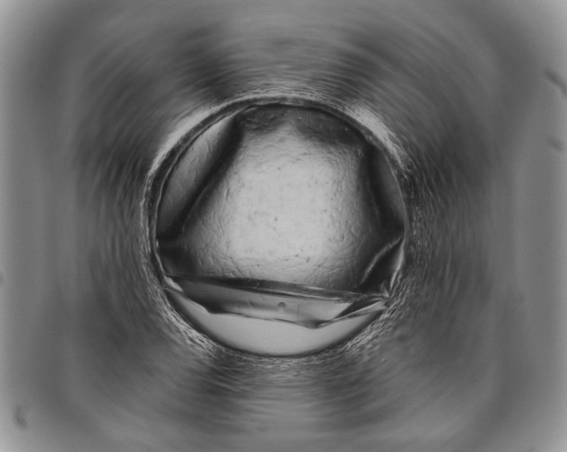 X0000097971120200804141045