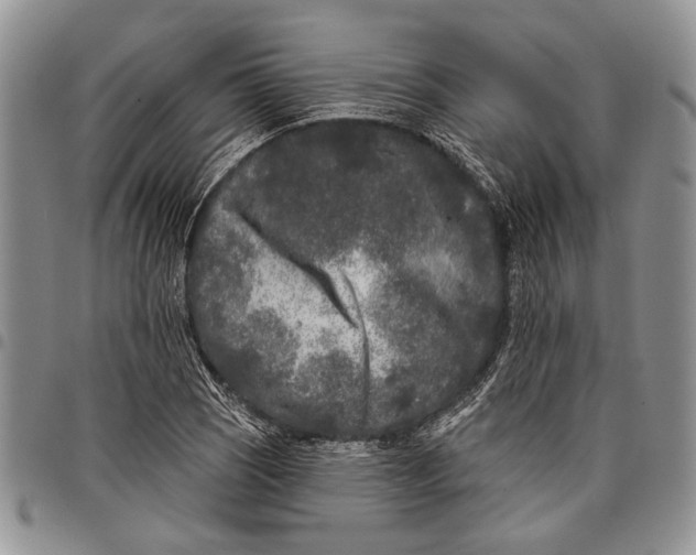 X0000097971121200804141045
