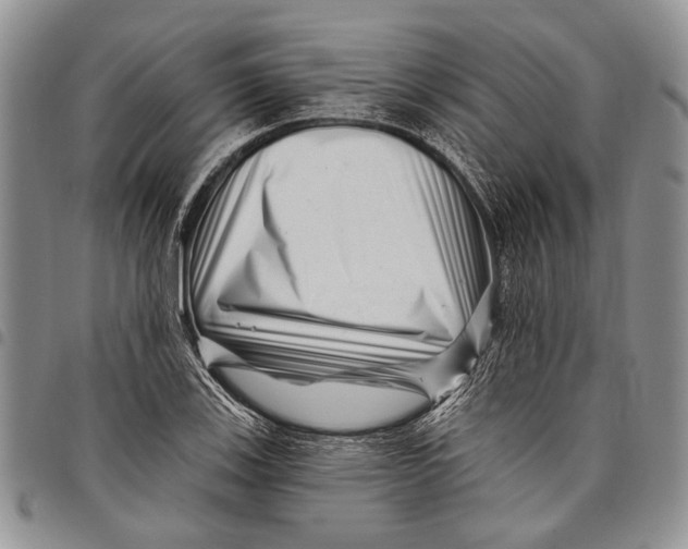 X0000097971123200804141045