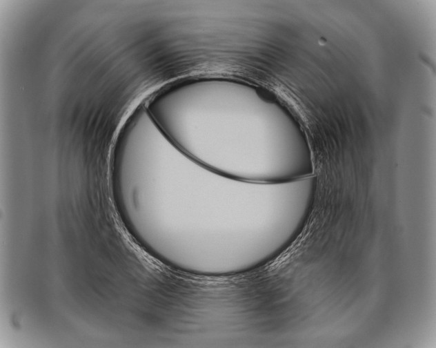X0000097971124200804141045