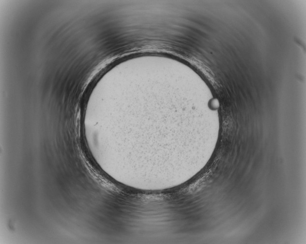 X0000097971126200804141045
