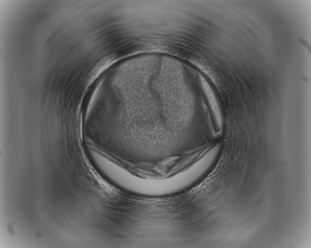 X0000097971127200804141045