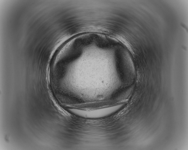 X0000097971128200804141045