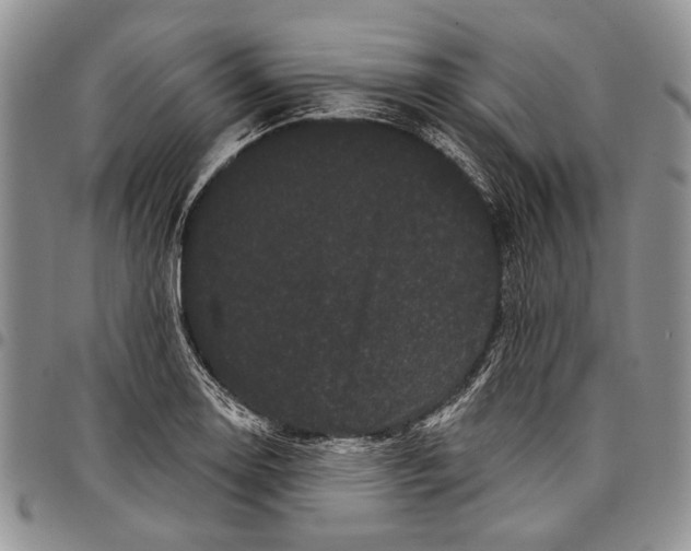X0000097971130200804141045