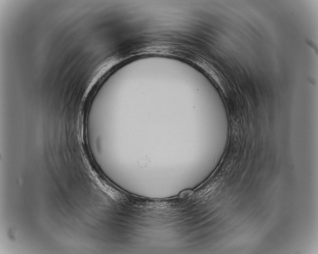 X0000097971131200804141045