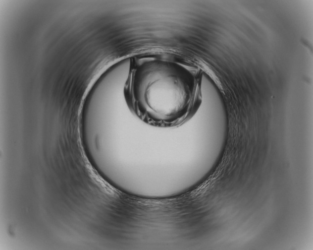 X0000097971132200804141045
