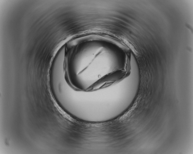 X0000097971134200804141045