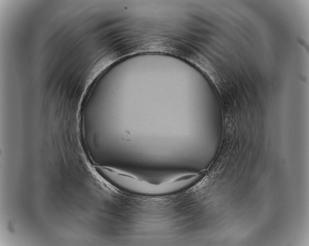 X0000097971135200804141045