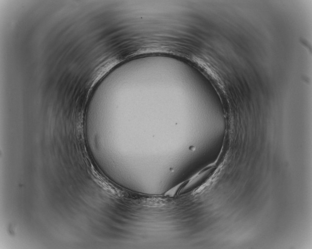 X0000097971137200804141045