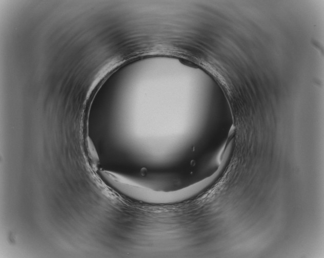 X0000097971138200804141045