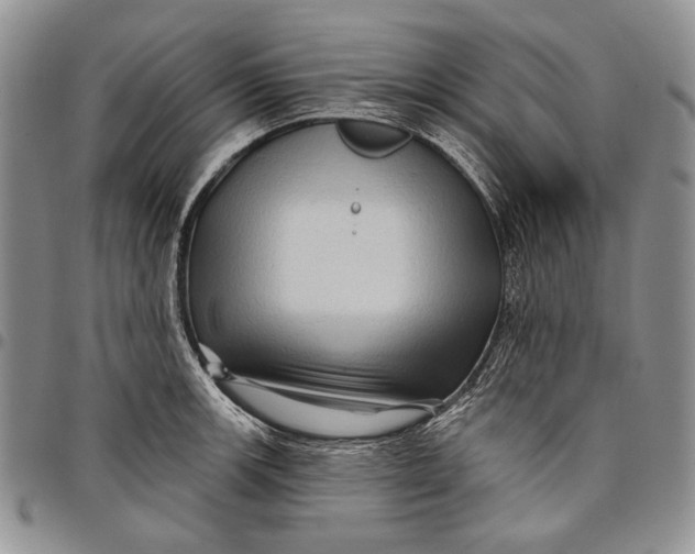 X0000097971139200804141045
