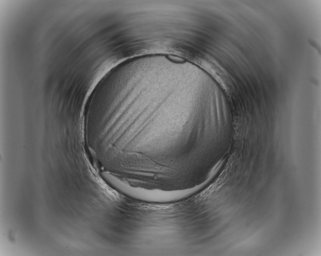 X0000097971140200804141045