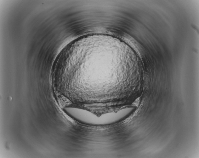 X0000097971141200804141045