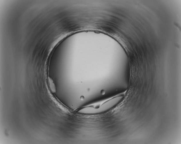 X0000097971142200804141045