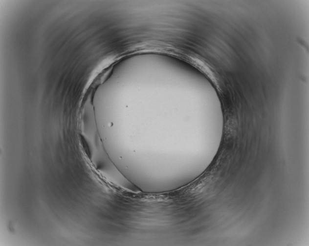 X0000097971146200804141045