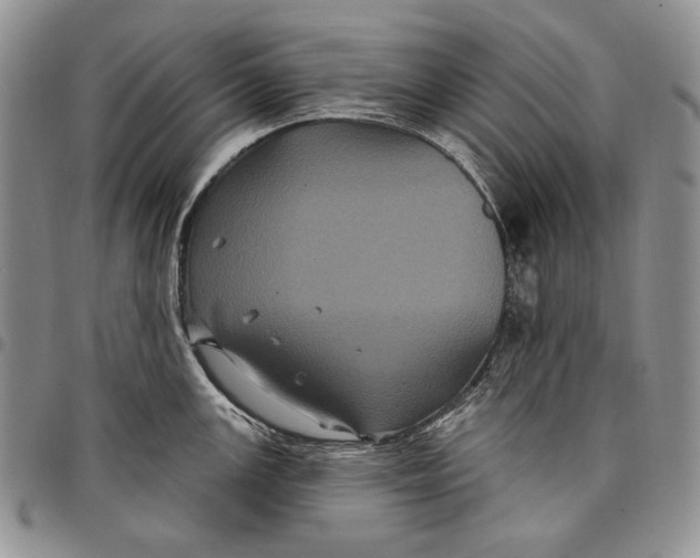 X0000097971147200804141045